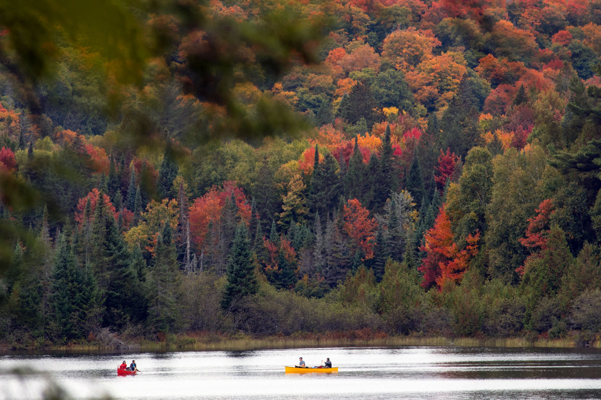 Canoeing on Head Lake in Algonquin Park September 2021 2