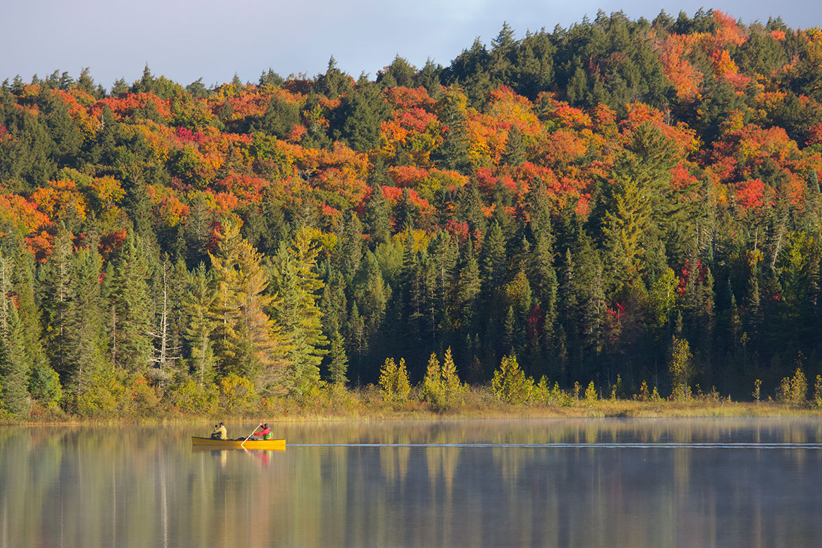 Canoe in front of beautiful fall colours in Algonquin Park September 2021 1