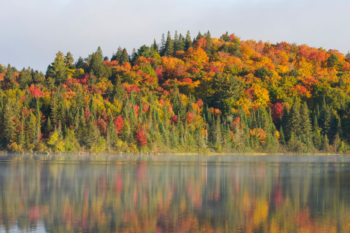 Canoe in front of beautiful fall colours in Algonquin Park September 2021 2