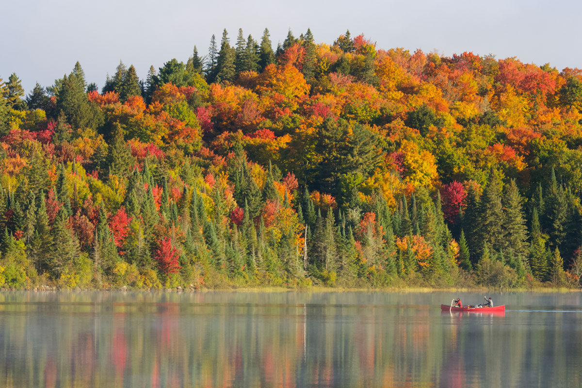 Canoe in front of beautiful fall colours in Algonquin Park September 2021 3