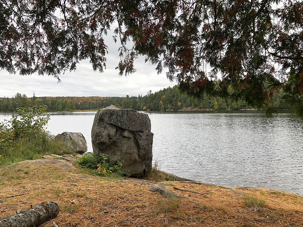 Head Lake Algonquin Park Campsite 1 boulder at front of the campsite