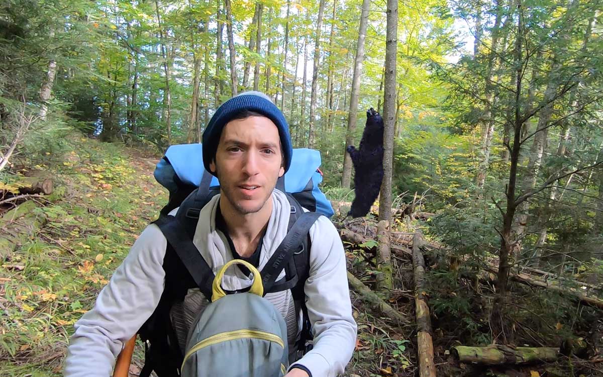 Bears in Algonquin Park - portaging with gear from Cache Lake to Head Lake