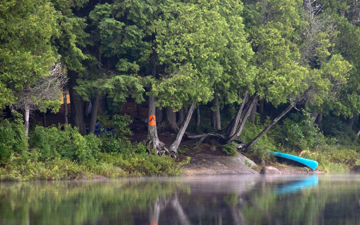 Finding The Best Campsite in Algonquin Park - view of a campsite from the water with blue canoe