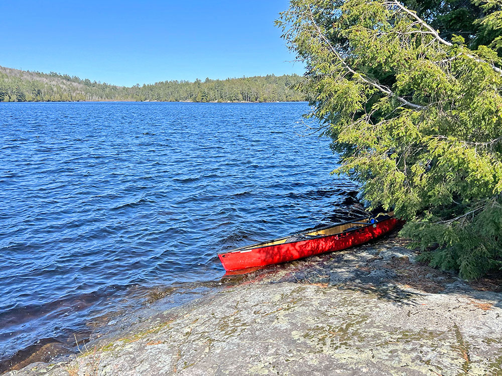 Rock Lake Algonquin Park Campsite 12 Canoe Landing v1