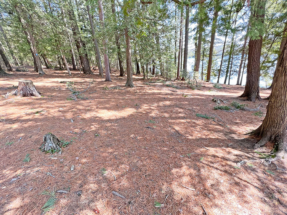 Rock Lake Algonquin Park Campsite 18 Tent Spot v1