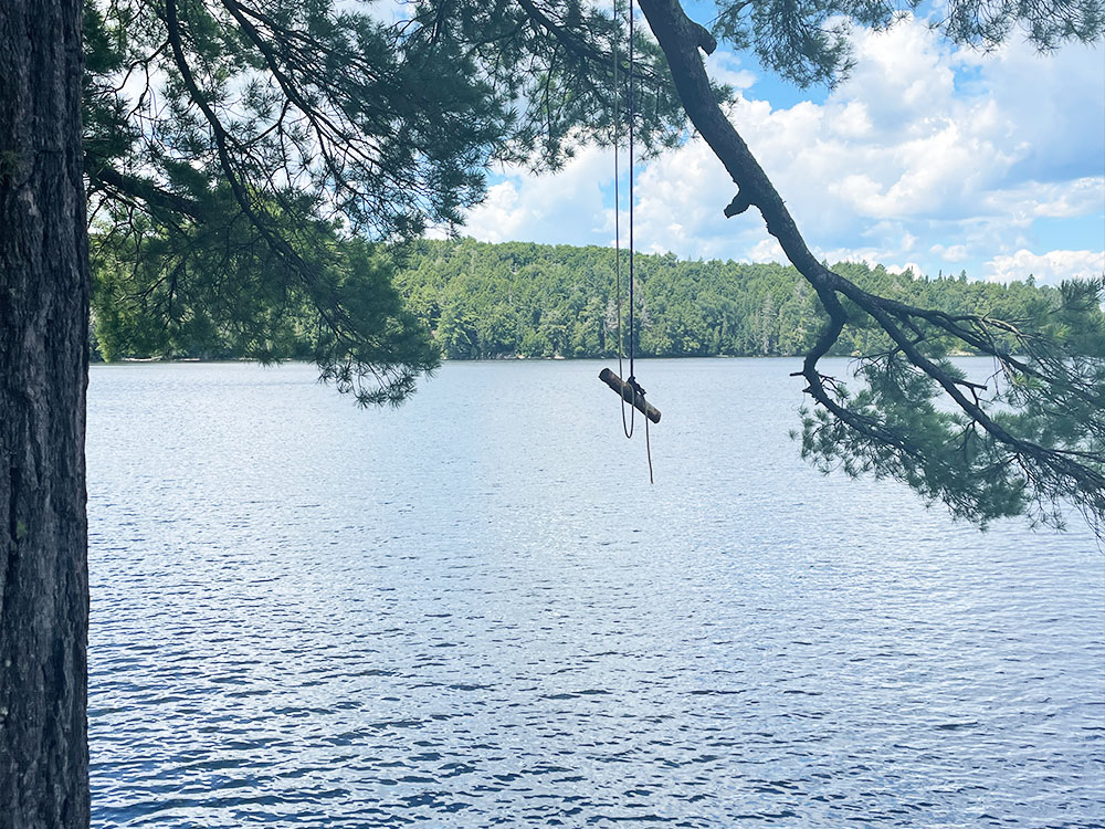 Big Trout Lake Algonquin Park Campsite 8 July 2022 Rope Swing