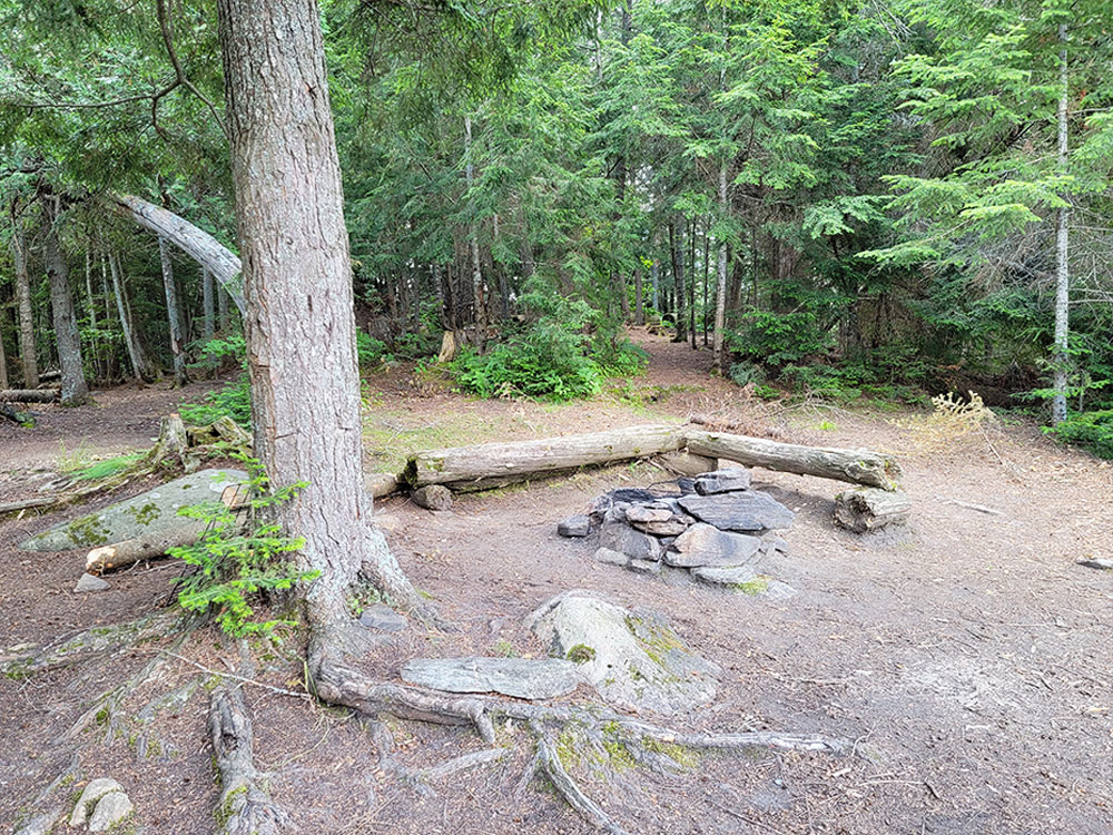 Biggar Lake Algonquin Park Campsite 12 Fire Pit and Seating