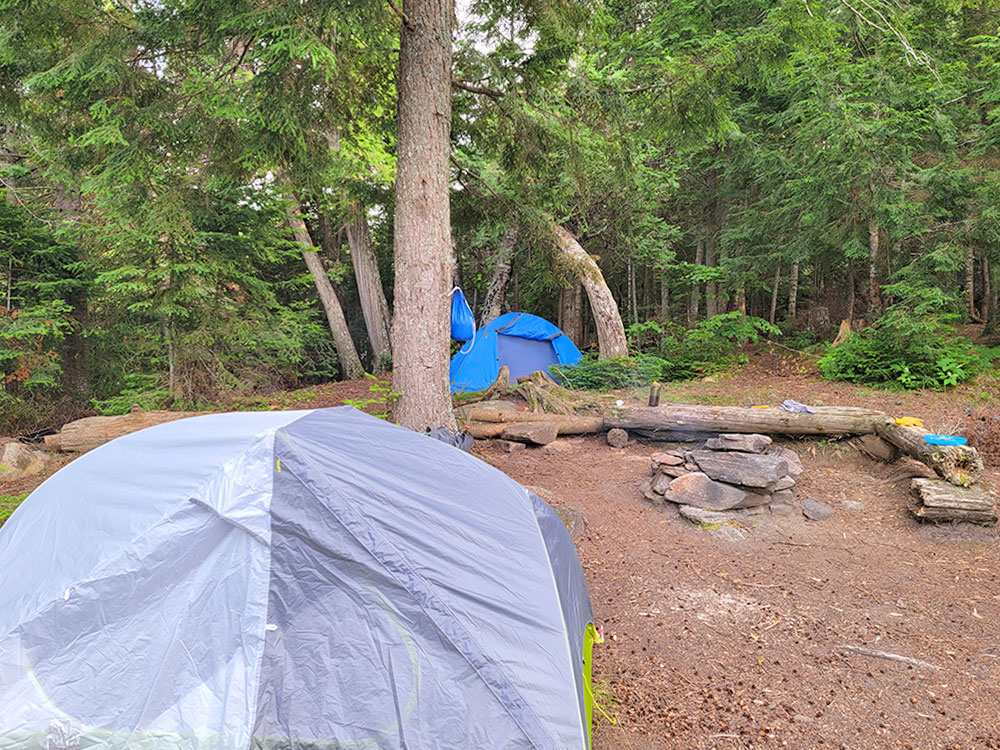 Biggar Lake Algonquin Park Campsite 12 Tent Spots