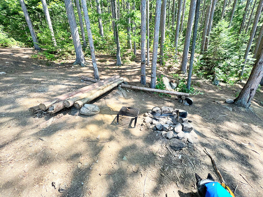 Little Rock Lake Algonquin Park Campsite 1 Fire Pit and Seating