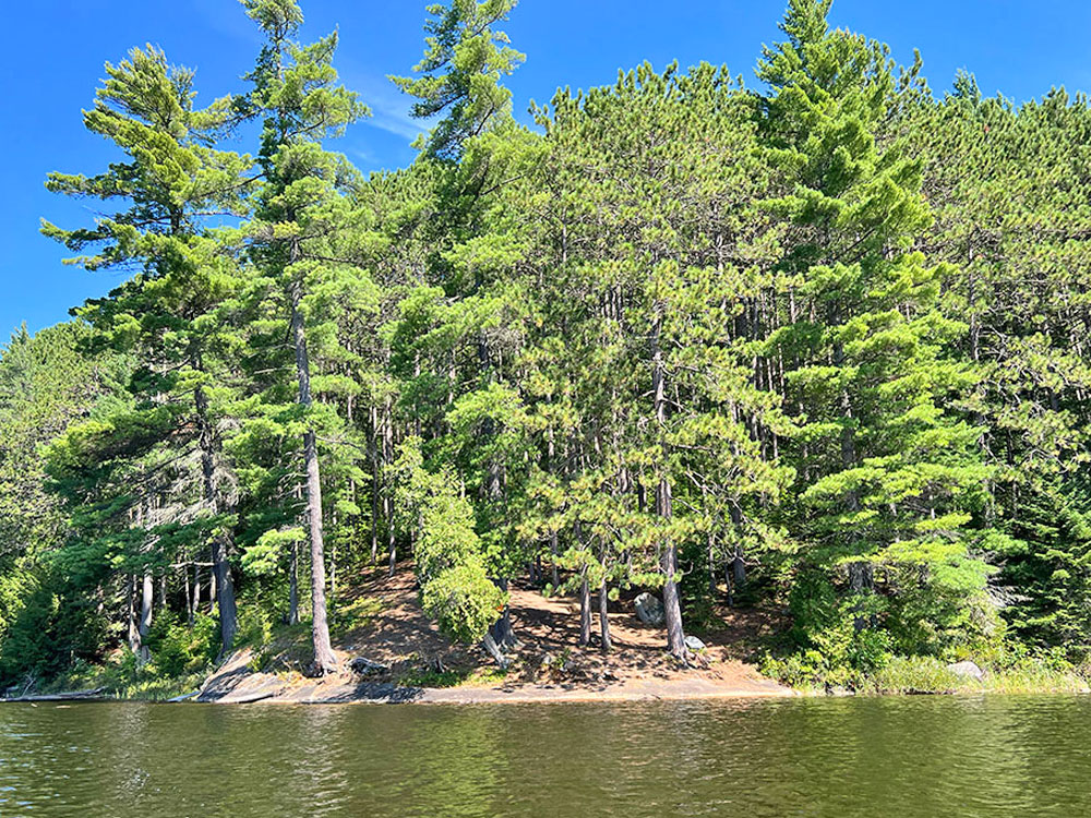 Little Rock Lake Algonquin Park Campsite 1 View of Campsite From the Water