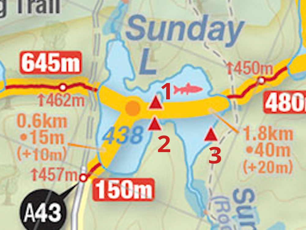 Map of campsites on Sunday Lake in Algonquin Park