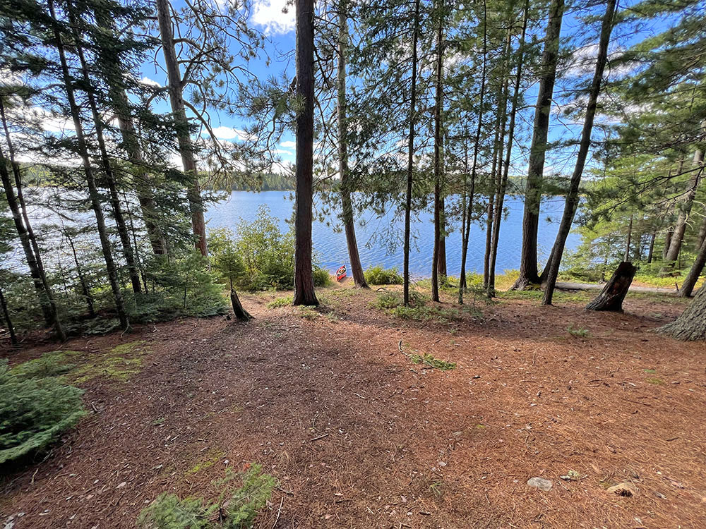 Club Lake in Algonquin Park Campsite 1 Path to Campsite