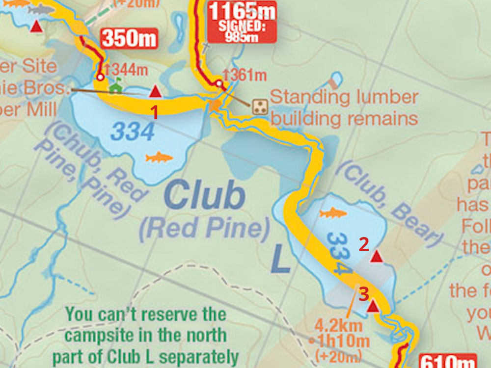 Map of Campsites on Club Lake in Algonquin Park