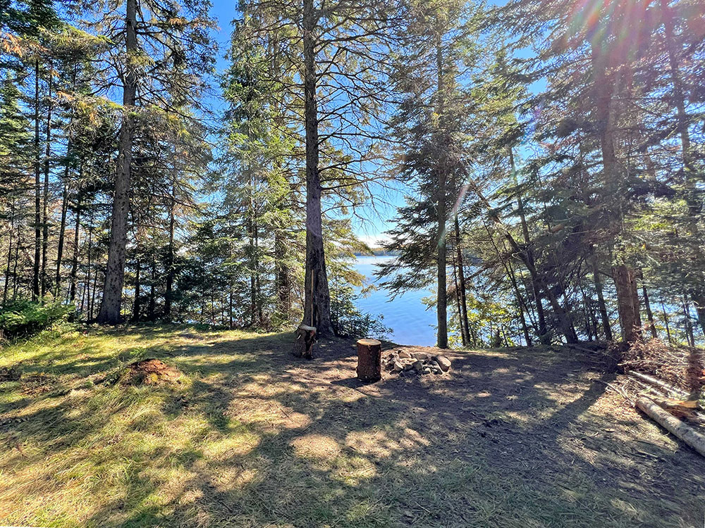 Lake Opeongo South Arm in Algonquin Park Campsite 42 Interior of Site v1