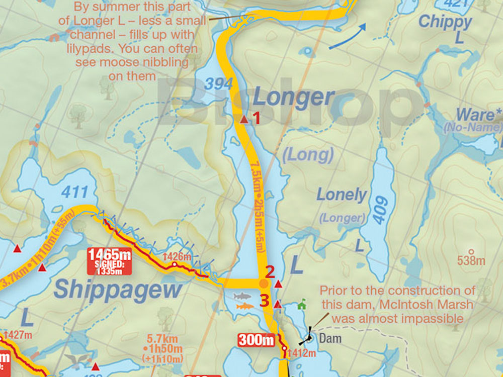 Map of campsites for Longer Lake in Algonquin Park