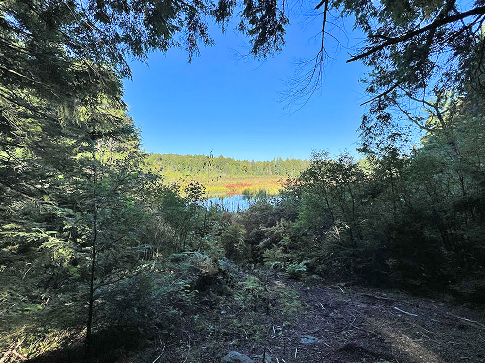 Maple Lake in Algonquin Park Campsite 3 View Onto Creek