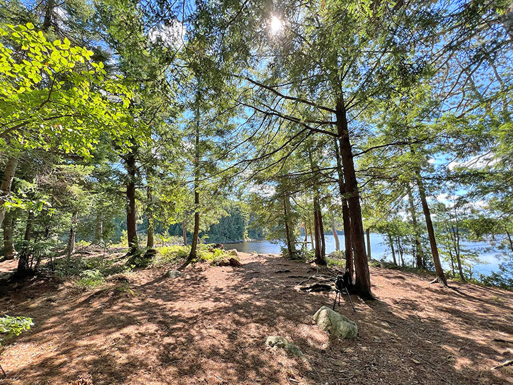 Maple Lake in Algonquin Park Campsite 4 in 2022 Interior of Campsite v1