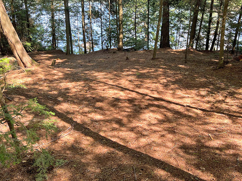 Maple Lake in Algonquin Park Campsite 4 in 2022 Tent Spot v3