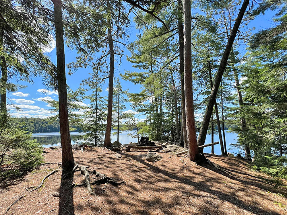 Maple Lake in Algonquin Park Campsite 5 Interior of Campsite v3