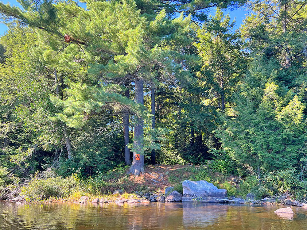 Maple Lake in Algonquin Park Campsite 6 View From the Water