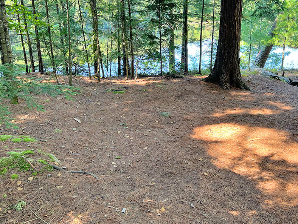 Maple Lake in Algonquin Park Campsite 7 Tent Spot v2