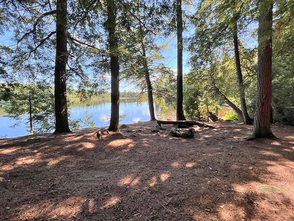 Maple Lake in Algonquin Park Campsite 8 Interior v1
