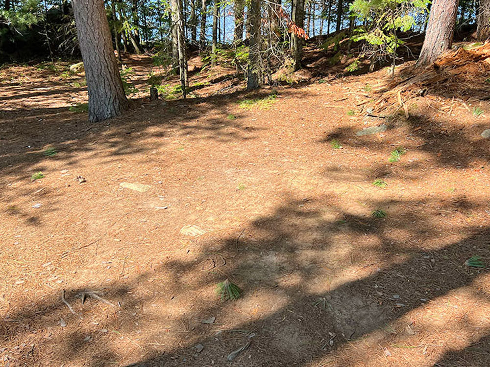Maple Lake in Algonquin Park Campsite 9 Tent Spot v1
