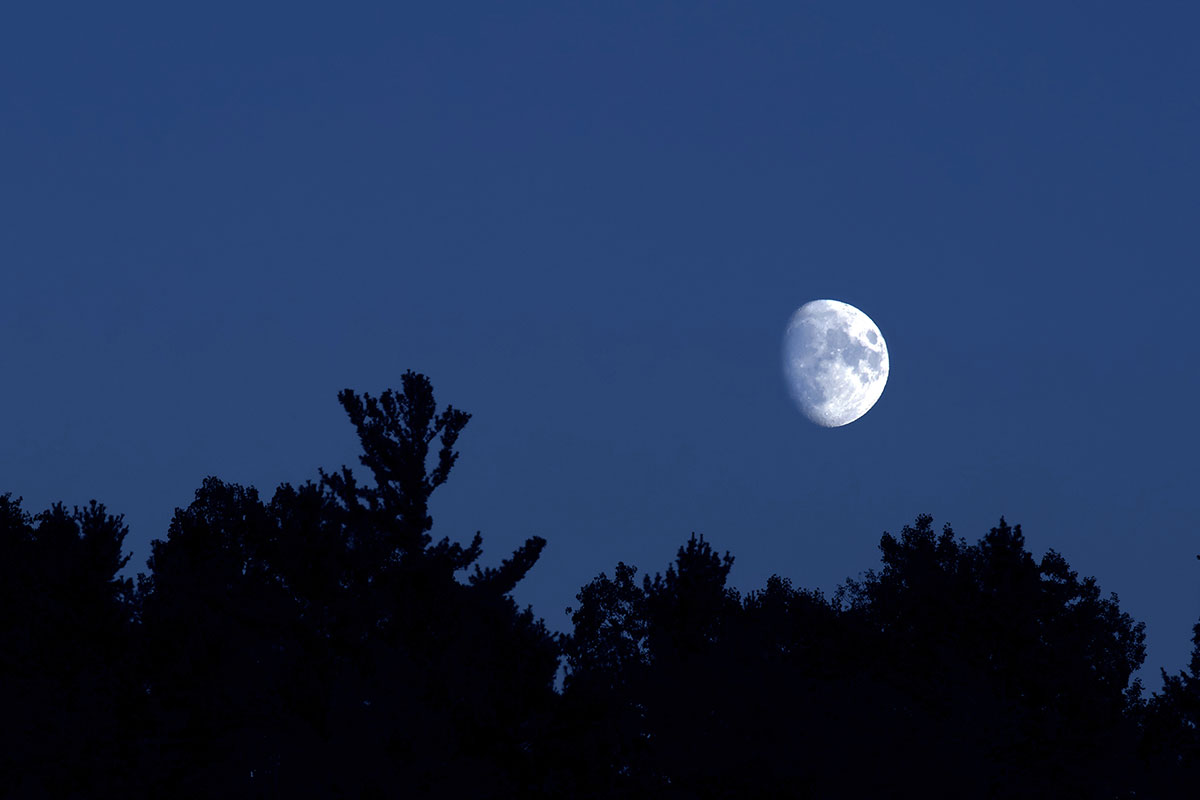 Moon Rise in Algonquin Park September 2022 v4