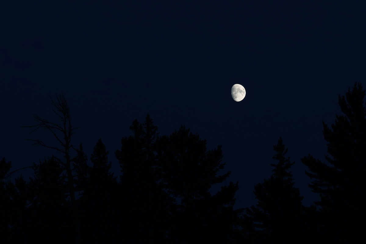 Moon Rise in Algonquin Park September 2022 v5