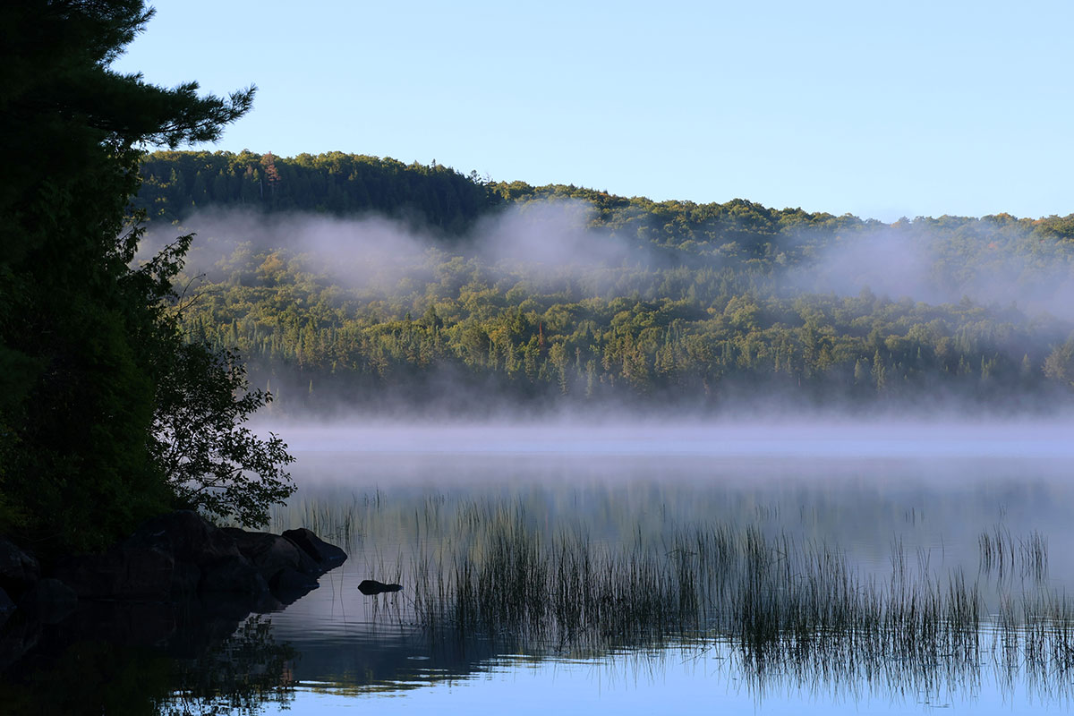 Morning on Mouse Lake with Mist Over Lake in Algonquin Park September 2022