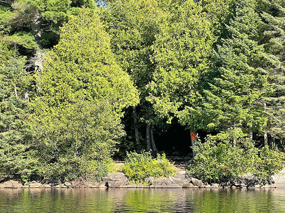 Mouse Lake in Algonquin Park Campsite 1 View From the Water