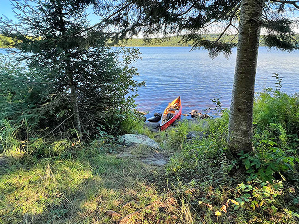 Mouse Lake in Algonquin Park Campsite 6 Path to Campsite
