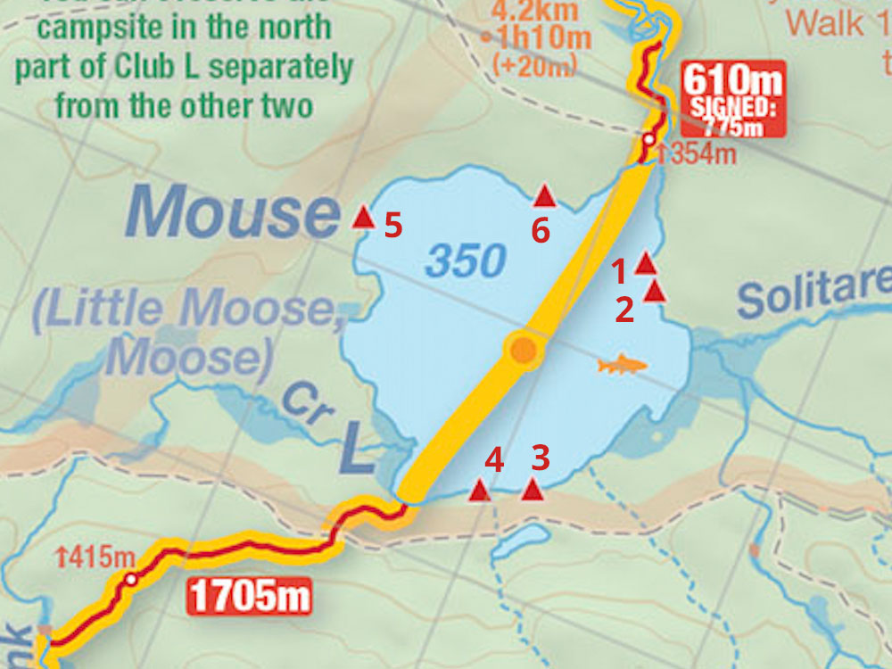 Map of Campsites on Mouse Lake in Algonquin Park