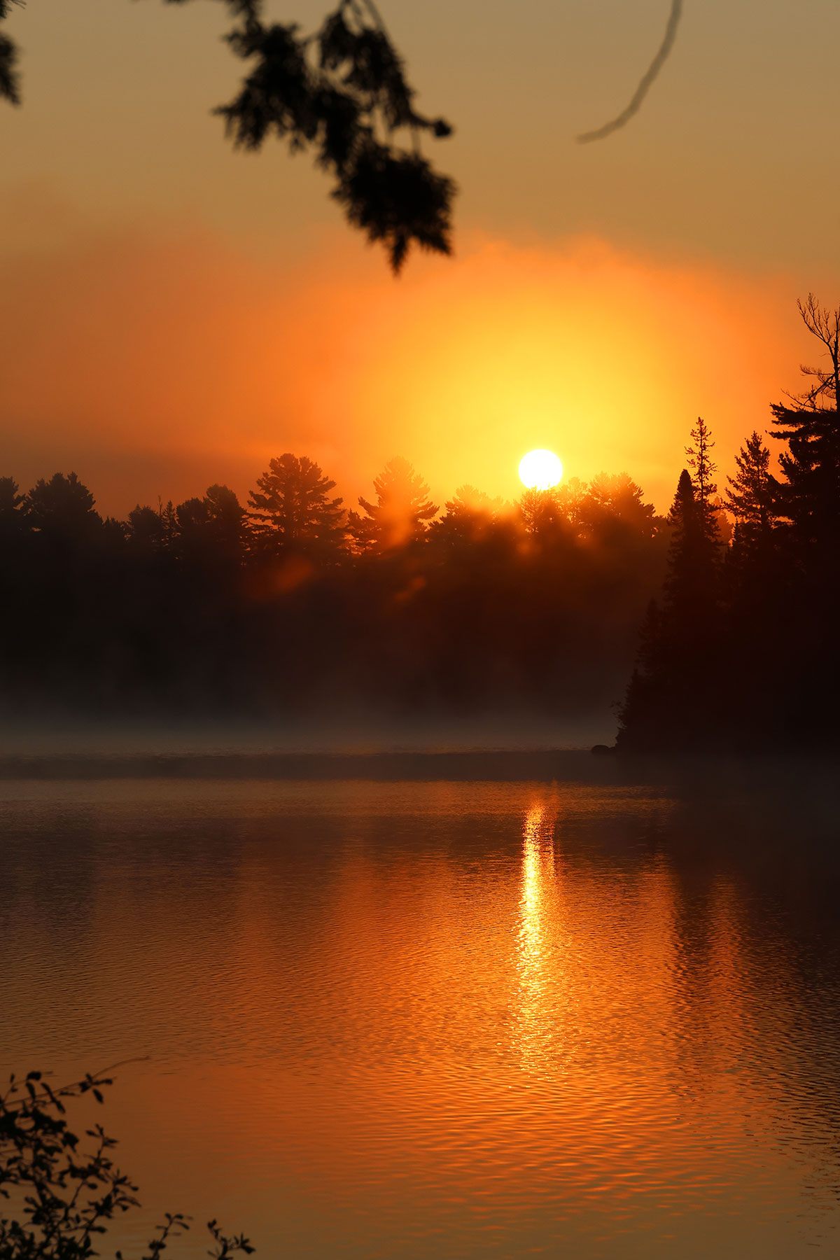 Sunrise on Erables Lake in Algonquin Park September 2022 Vertical