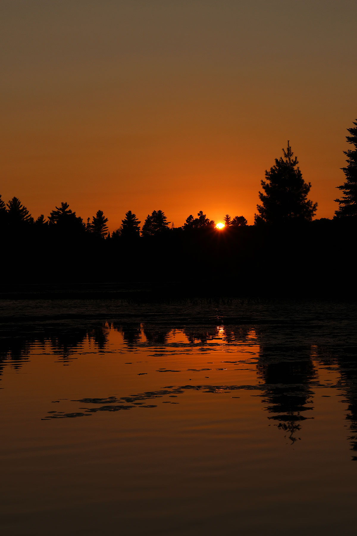 Sunset on Erables Lake in Algonquin Park September 2022 Vertical
