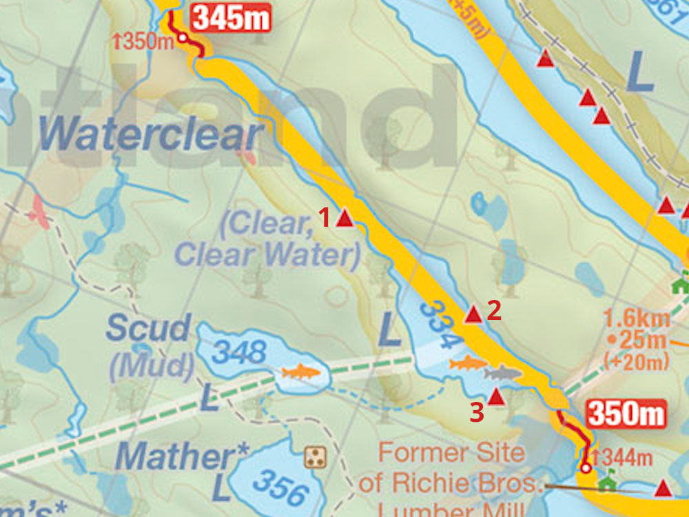 Map of Campsites on Waterclear Lake in Algonquin Park