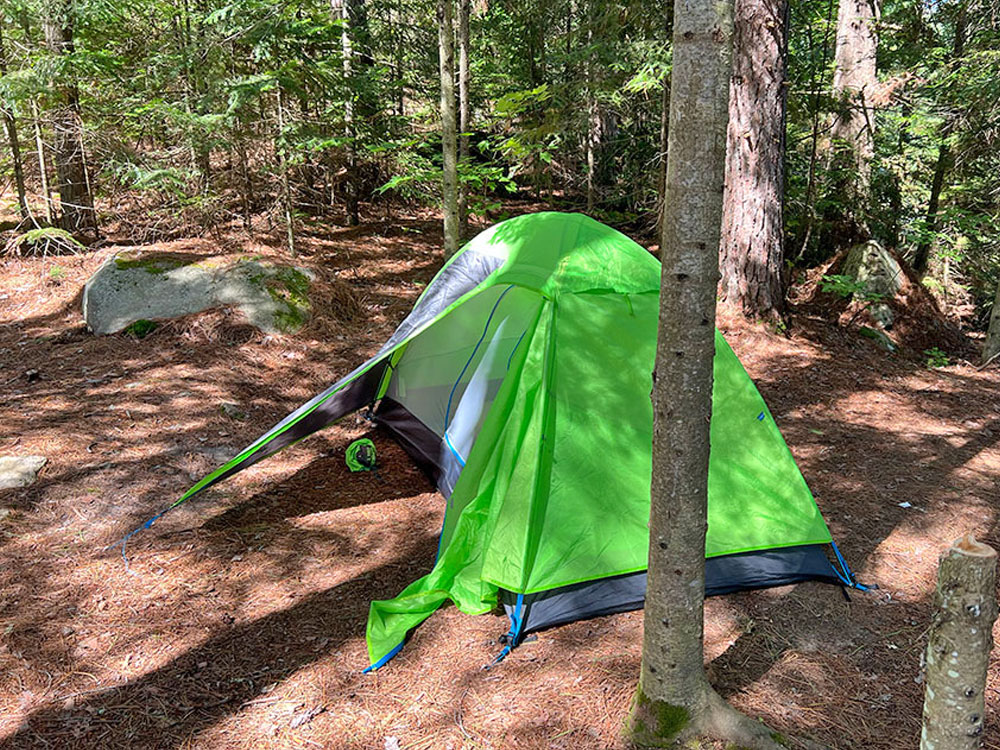 White Birch Lake in Algonquin Park Campsite 4 Tent Spot v3