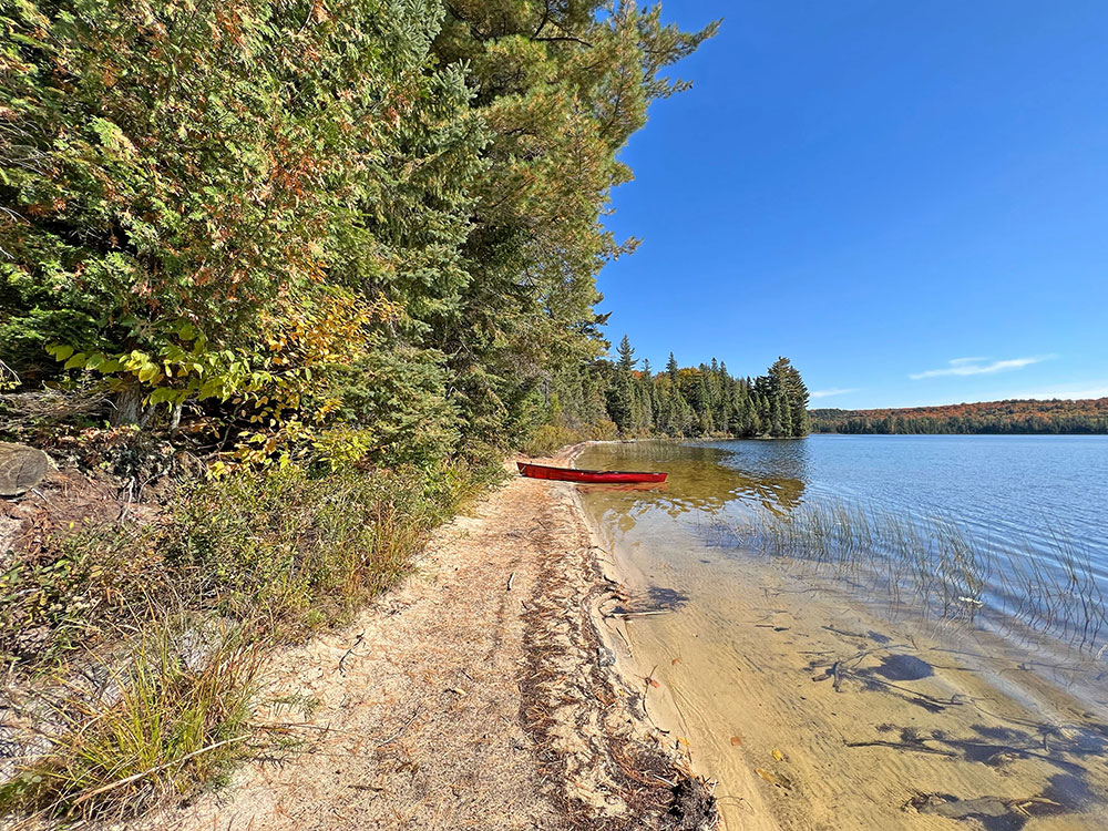 Canisbay Lake Algonquin Park Campsite 14 Canoe Landing