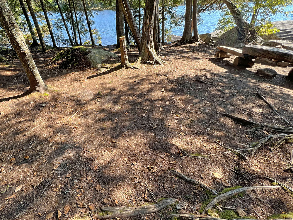 Canisbay Lake Algonquin Park Campsite 15 Tent Spot v2