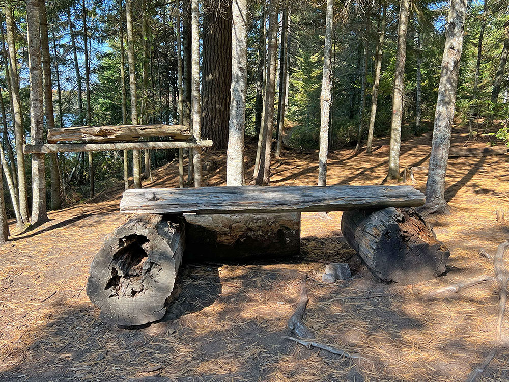 Canisbay Lake Algonquin Park Campsite 6 Bench For the Fire Pit