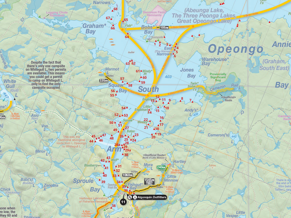 Map of campsites on Lake Opeongo, South Arm in Algonquin Park