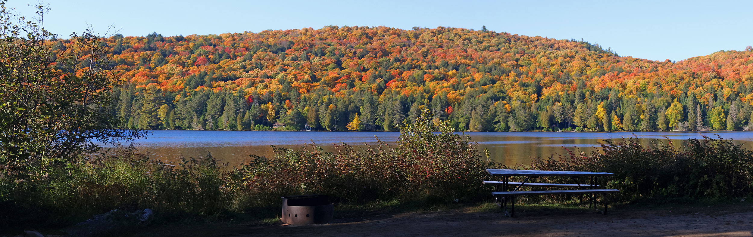 Rock Lake Campground in Algonquin Park October 2022 Panorama