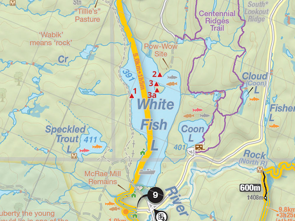 Map of Campsites on White Fish Lake in Algonquin Park