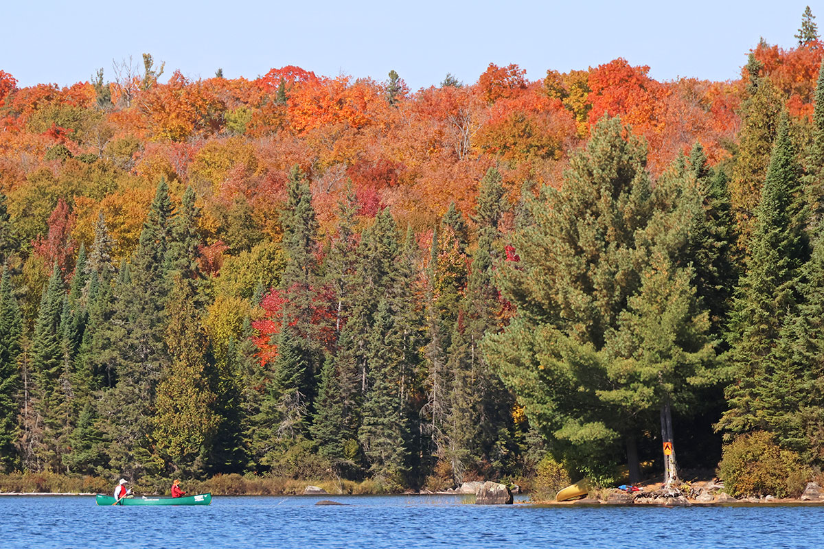 Canoeing Canisbay Lake in Algonquin Park in October 2022 v1