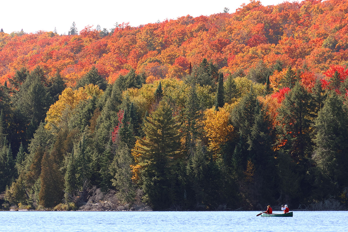 Canoeing Canisbay Lake in Algonquin Park in October 2022 v2