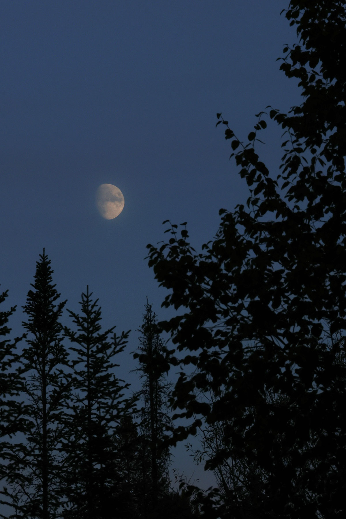 Moon Over Rock Lake Campground in Algonquin Park in October 2022 v2