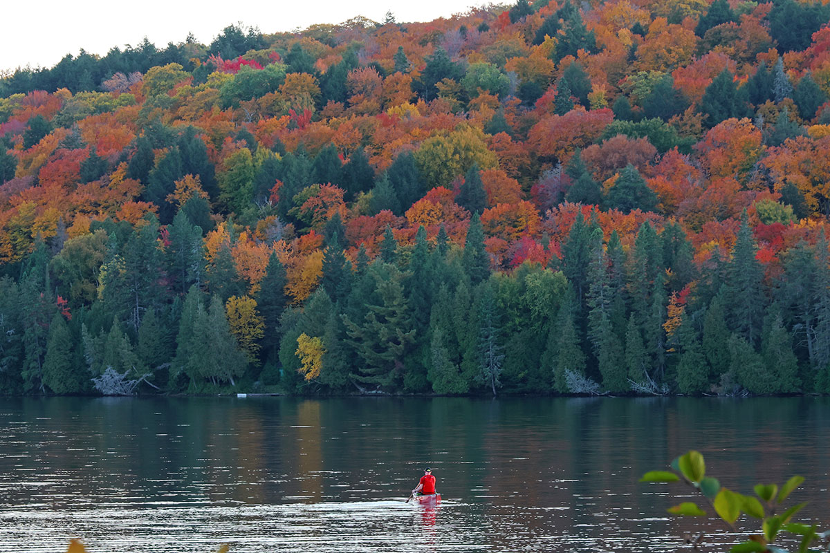 Paddling Rock Lake During Sunset with Fall Colours in Algonquin Park v4