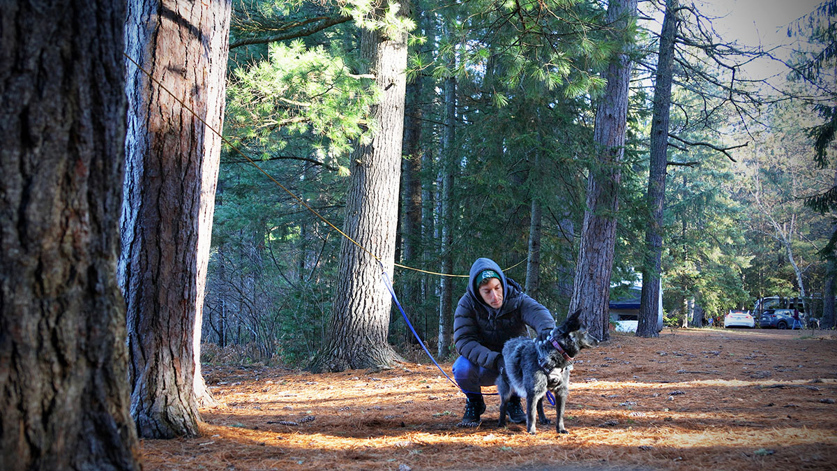 Cody playing with Elo while she's tethered between trees at Mew Lake Campground campsite, November 2023