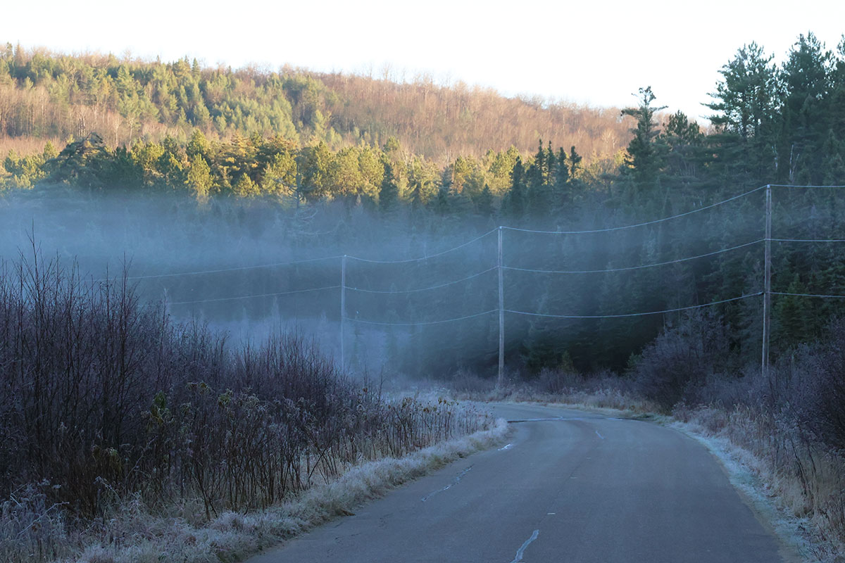 Landscape of Lake Opeongo Road during a cold frosty morning, November 2023 v3