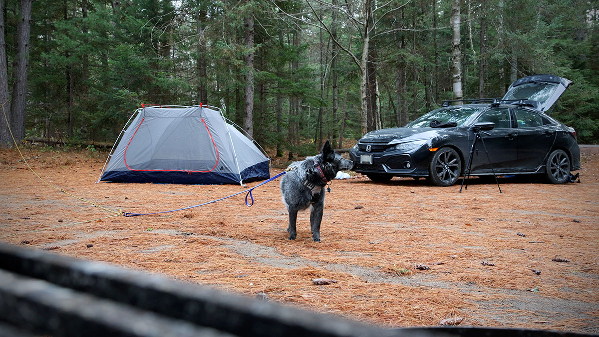 Setting up MEC Ohm 4 tent beside car at Mew Lake campground campsite in Algonquin Park, November 2023 v1